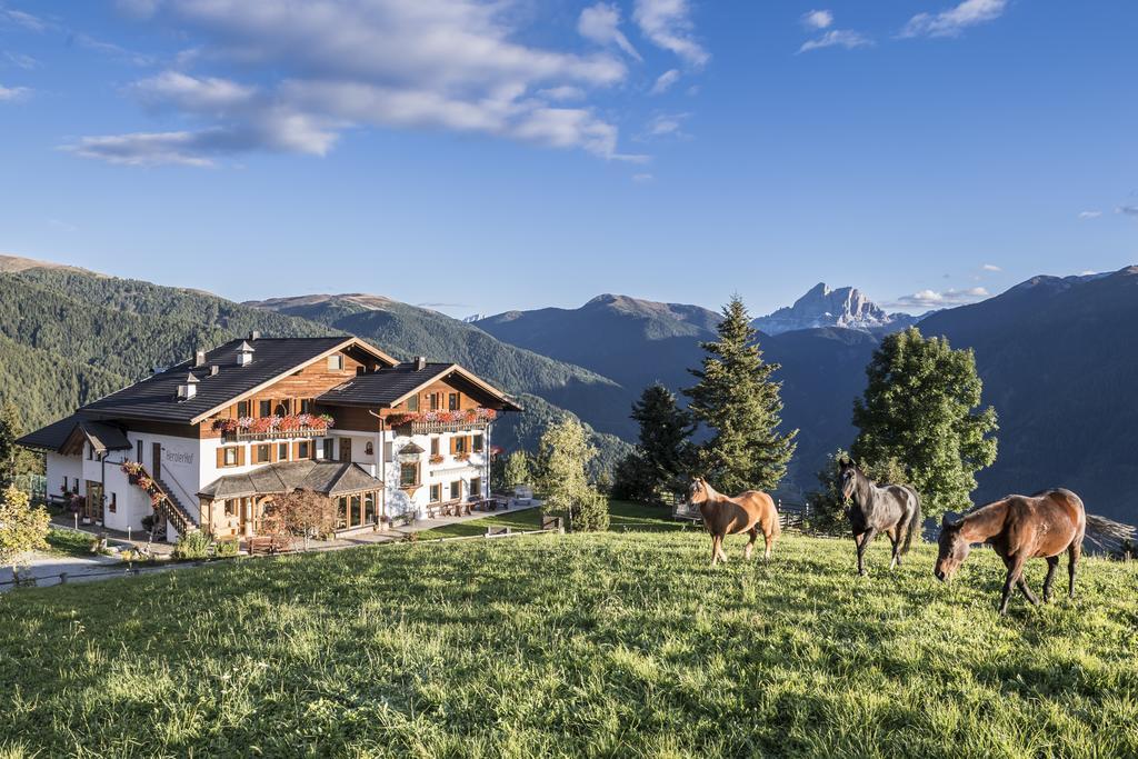 Herol - My Mountain Retreat Luson Exteriér fotografie